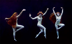 Bodies of Art: Alberich M