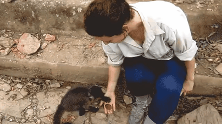 20171224021345_csaxyxki.gif