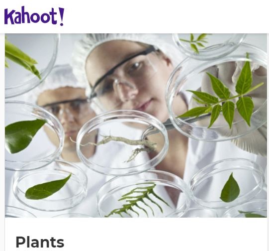 Parts of the plants with kahoot