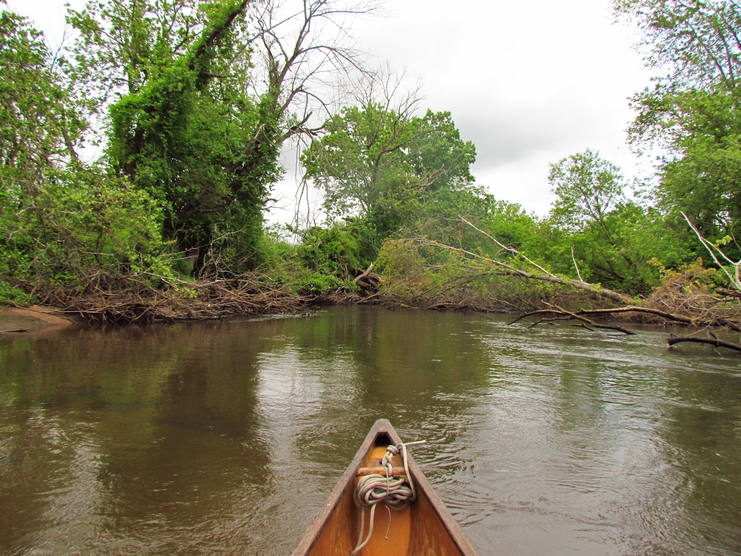 The View From the Canoe Quinnipiac River