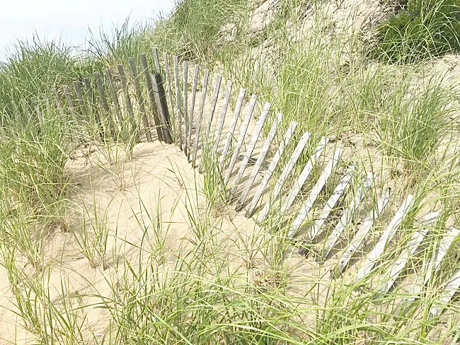 dunes and beach fence