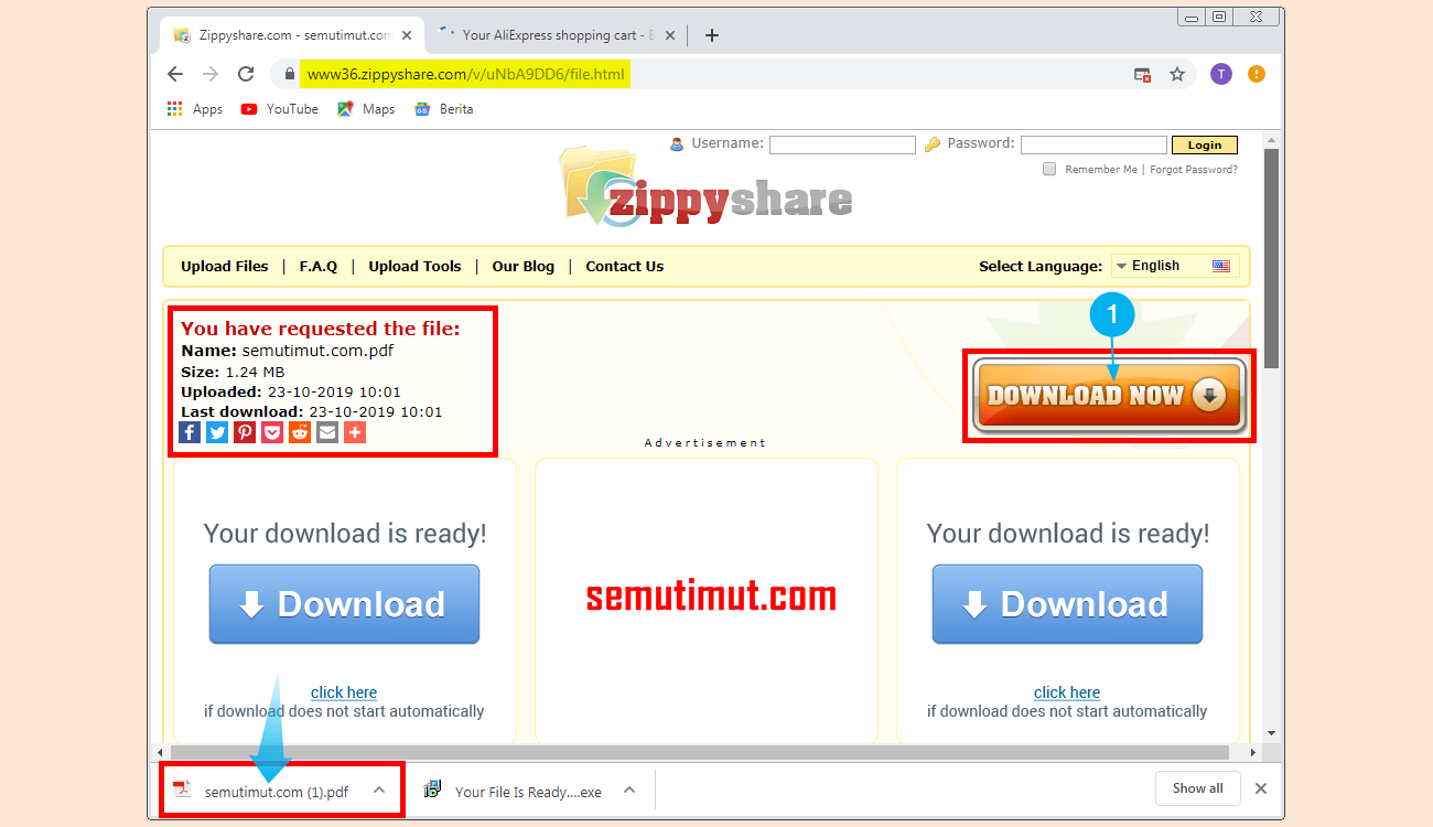 Langkah-langkah Download File di Zippyshare.