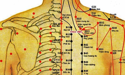 huyệt khúc viên
