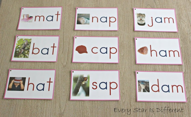 Beginning Language Word Families/Rhyming Words