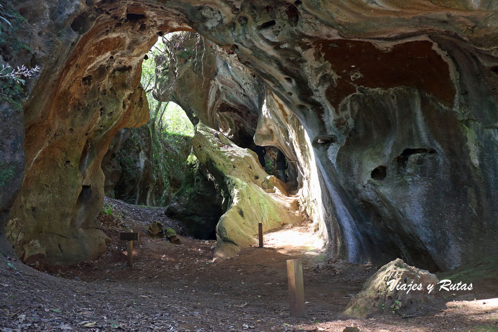 Las Cuevas de Andina, Asturias