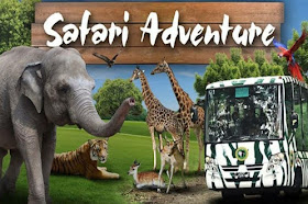 Pakej Percutian Surabaya Bromo Safari Zoo