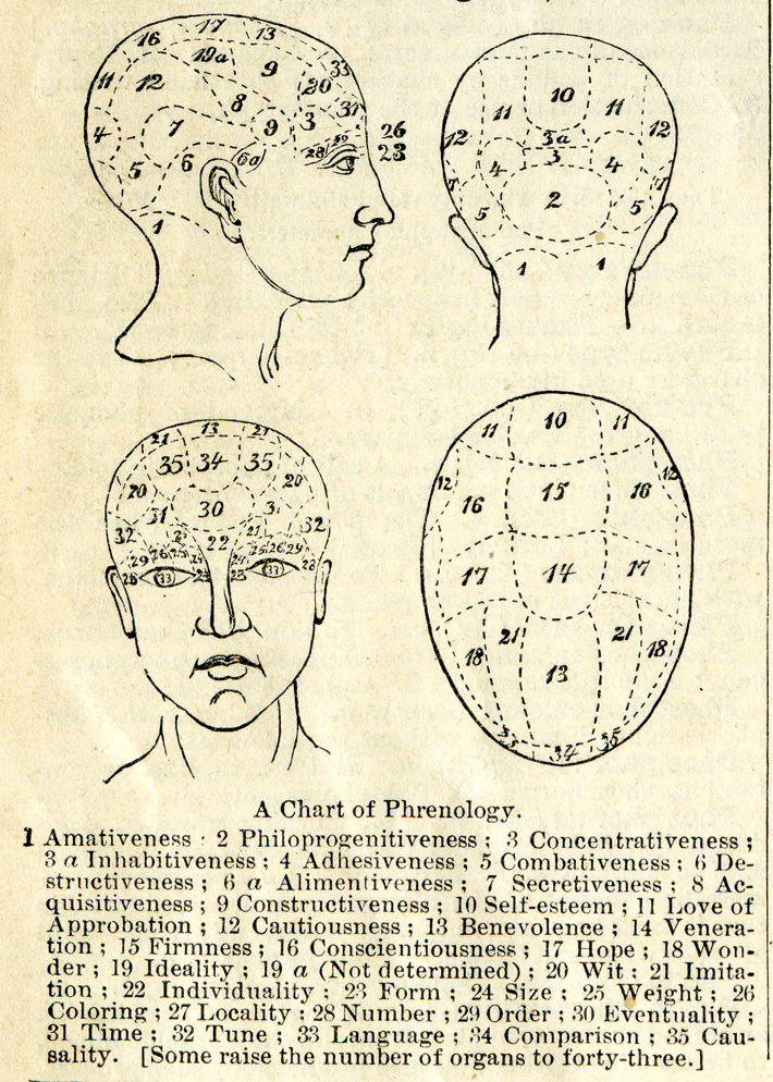 chart of phrenology 