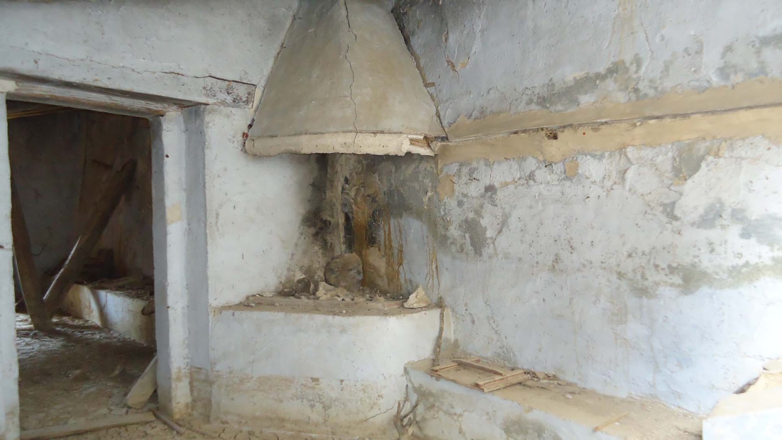 Centro de Estudios Borjanos: Interesante abejar en la partida de los