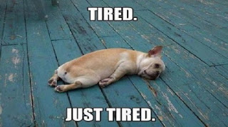 Funny Good Night Images For Whatsapp Funny Good Night Images For Whatsapp