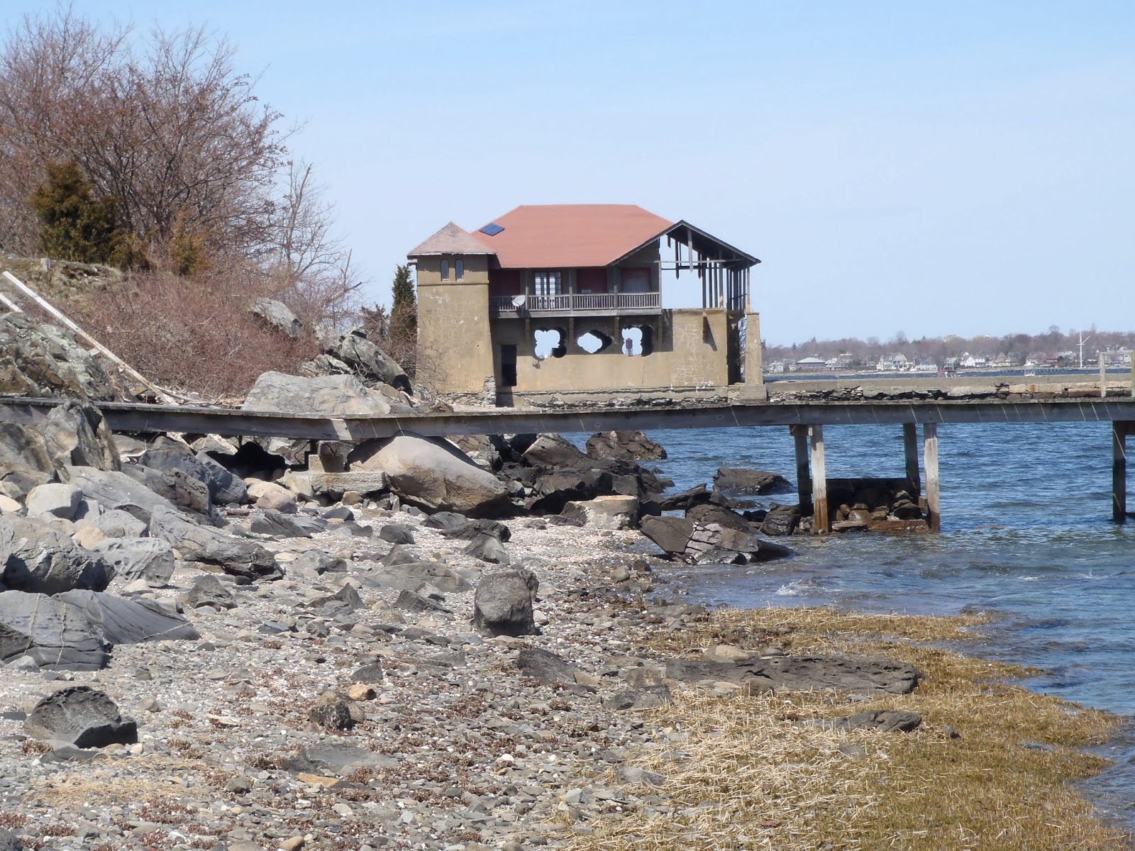 MichalsBrown Adventures To Hog Island in Surprise