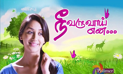 Online Maa Tv Telugu Serials Online