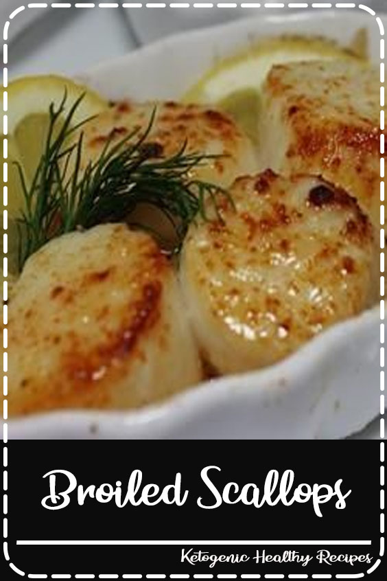 Broiled Scallops Baking Recipes Idea