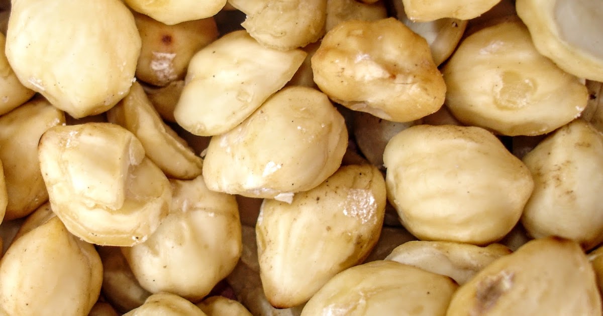 History of Candlenut · Buah Keras · Kemiri · Kukui Nut · Indian Walnut