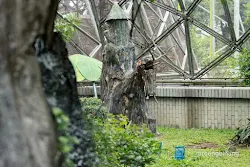 taman burung tmii jakarta