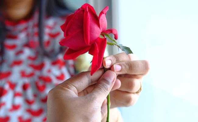 Rose Beauty Tips in Hindi