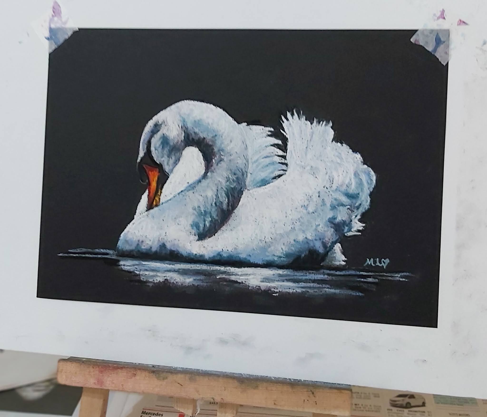 Swan in pastels on black paper
