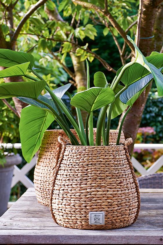 DETALHES EM FIBRA NATURAL