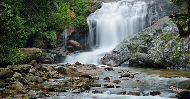 Place-to-visit-in-Munnar