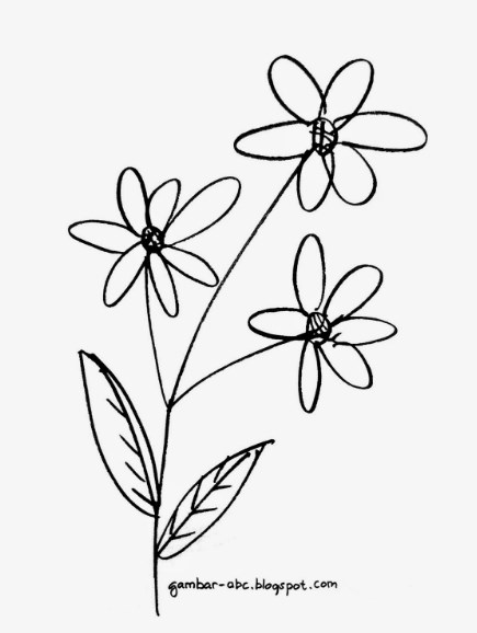Sketsa Bunga Sederhana Terlengkap Mudah Di Gambar