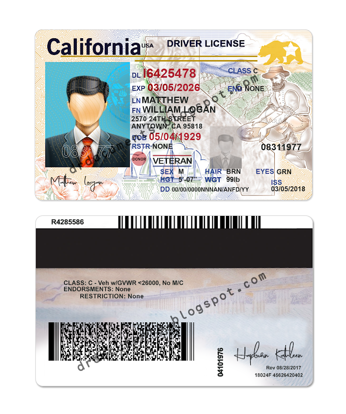 Fake Car Registration Template California