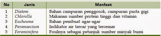 Spesies Protista yang Bermanfaat Spesies Protista yang Bermanfaat