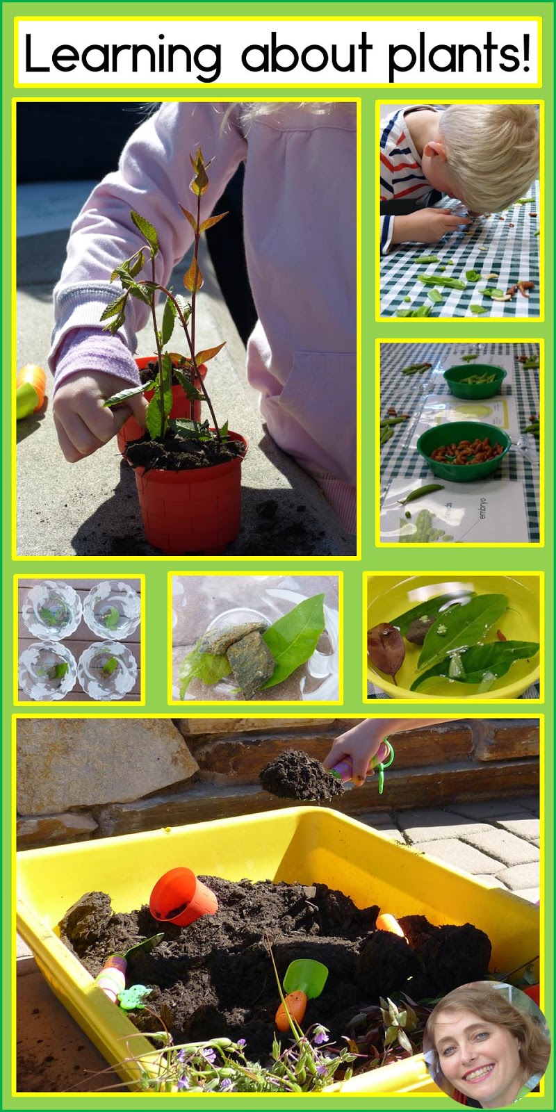 Paula's Primary Classroom Learning about Plants
