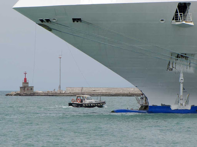 Sea Princess, IMO: 9150913, port of Livorno