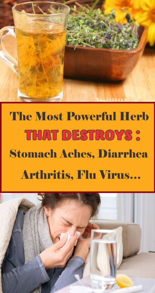 The Most Powerful Herb That Destroys Stomach Aches, Diarrhea, Arthritis
