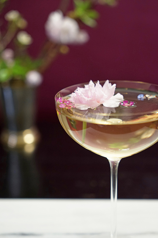 Gastronomista Luxardo Cherry Blossom Martini