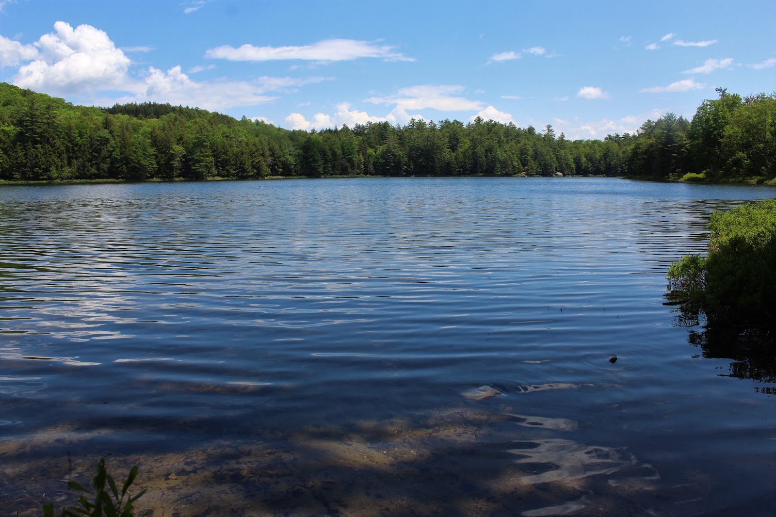 Walking Man 24 7 Lake and Unnamed Lake W Ledges(Wilcox