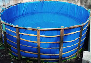 Membuat Kolam Terpal Murah Dengan Bahan Sederhana Kolam Asia