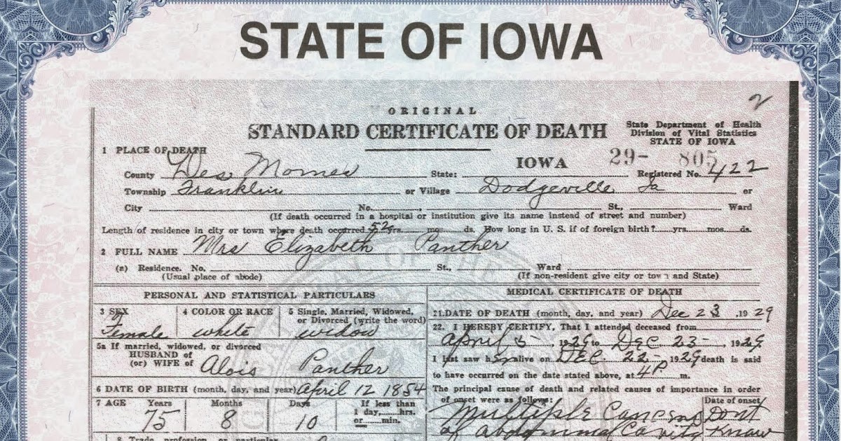 Matt s Genealogy Blog Elizabeth Dunzinger s Death Certificate Matt s Genealogy Blog Elizabeth Dunzinger s Death Certificate