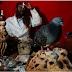Read What Man Did To His 17-Yr-Old Girlfriend In Herbalist’s House, A Must Learn For Ladies.