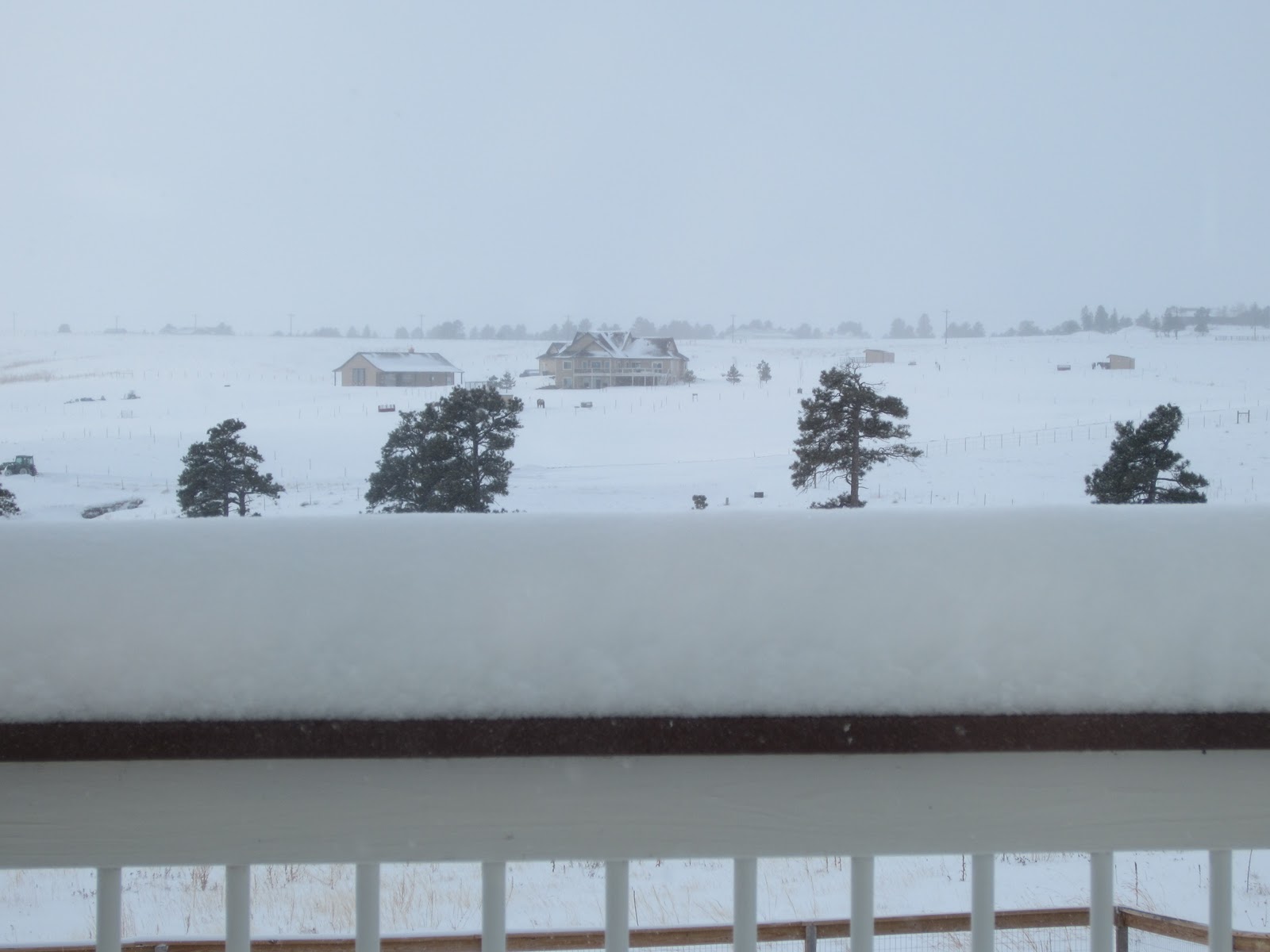 Moondance Ranch Scenes from a Snowstorm