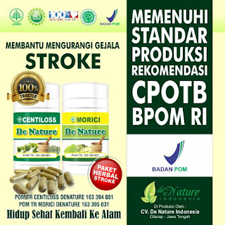 Terapi Gejala Stroke Terapi Gejala Stroke