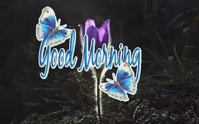 Good Morning Images Good Morning Images