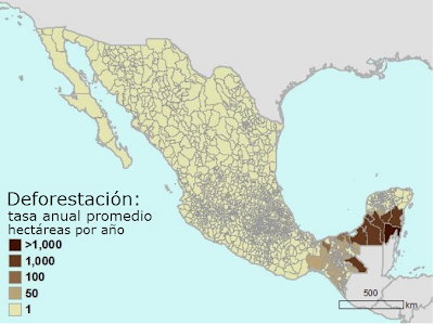 Deforestación en México