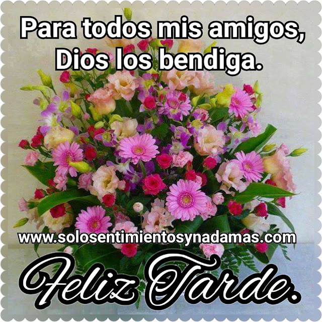 Feliz tarde.