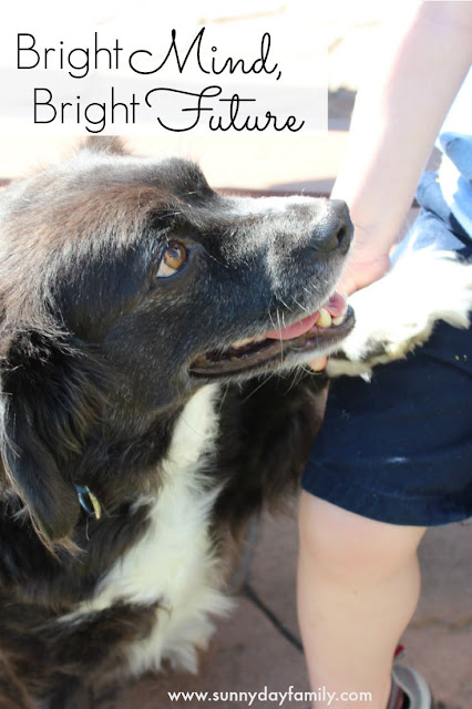 Do you have young kids and an older dog? Nurture their relationship and protect your dog's mental awareness with the right food. Do you have young kids and an older dog? Nurture their relationship and protect your dog's mental awareness with the right food.