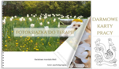 fotostory o psie asystujacym w terapii blog o terapii