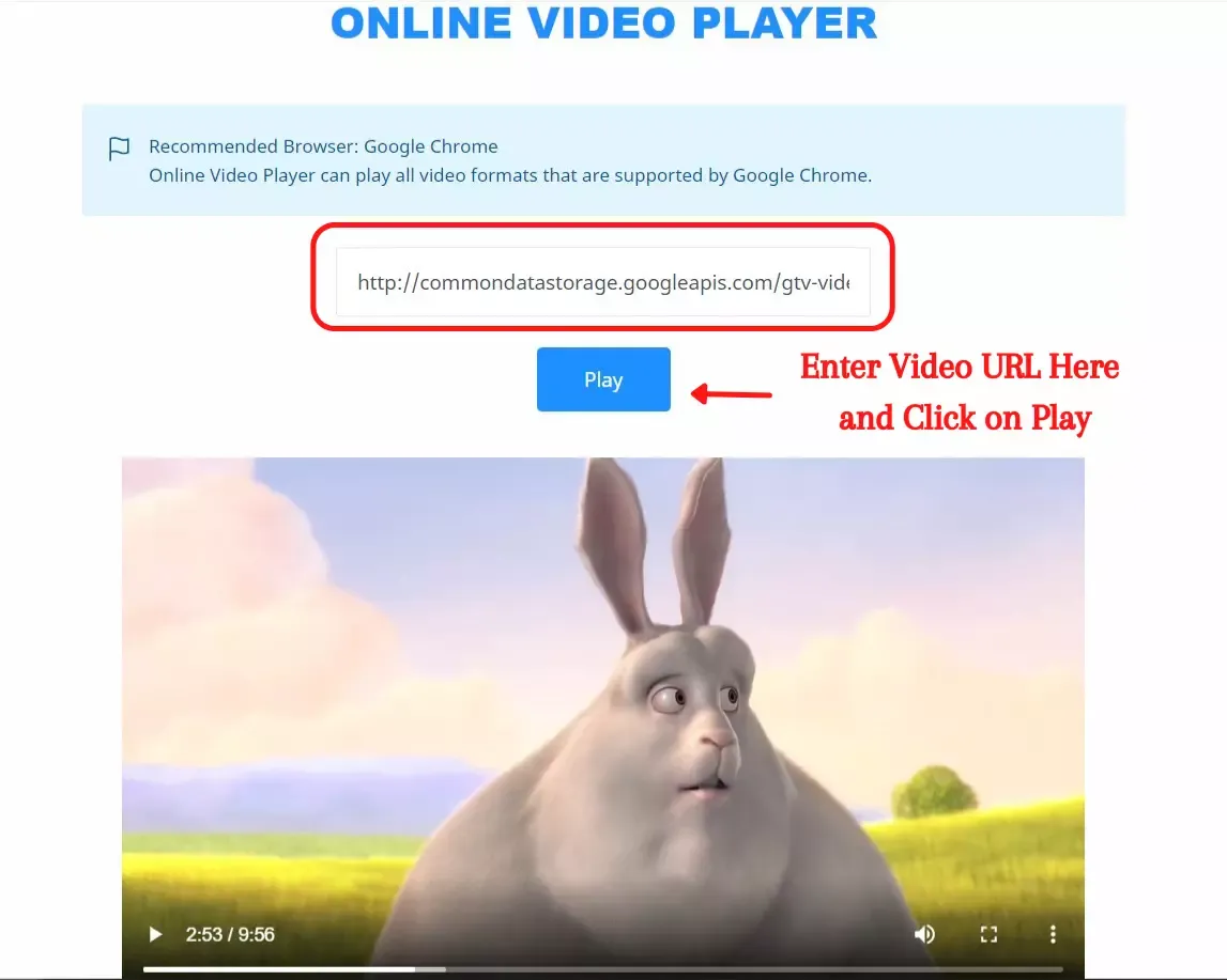Online Video Playing directly from URL using this website