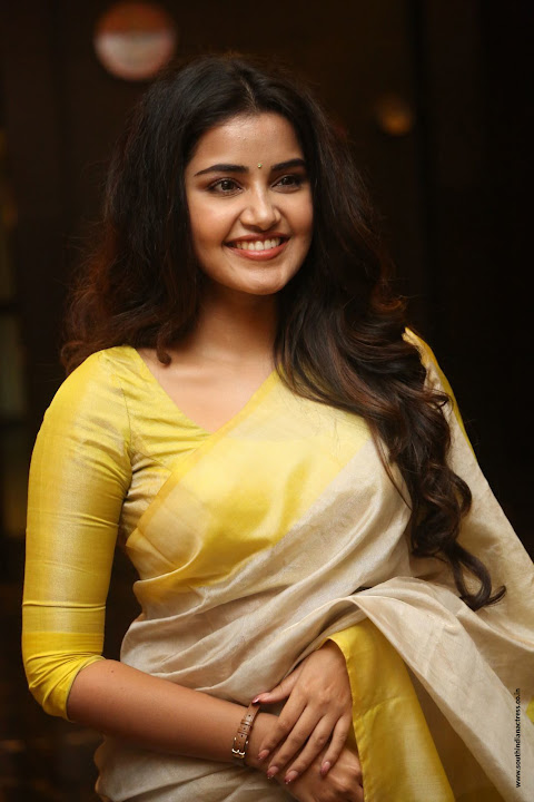 Anupama Parameswaran at SVC Success Celebrations