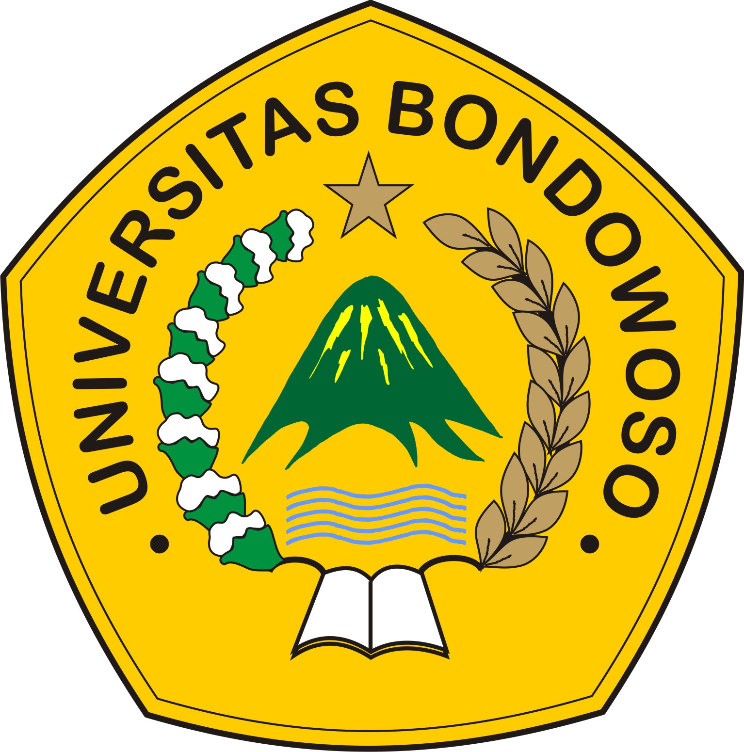 UNIVERSITAS BONDOWOSO: PROFIL UMUM