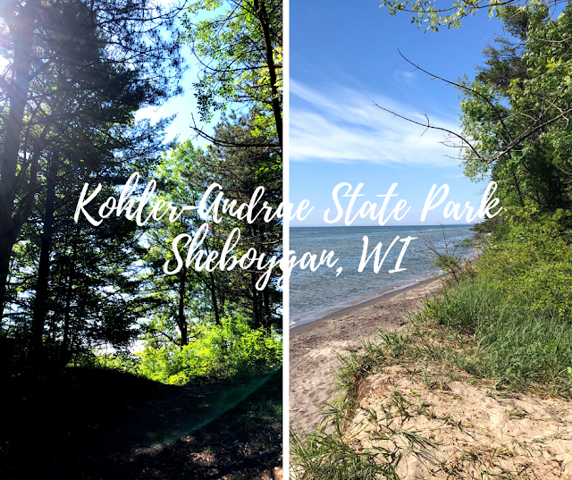 Kohler-Andrae State Park in Sheboygan, Wisconsin: Hiking Where the Forest Meets the Beach
