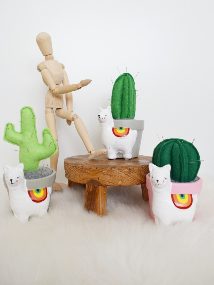 igielnik kaktus