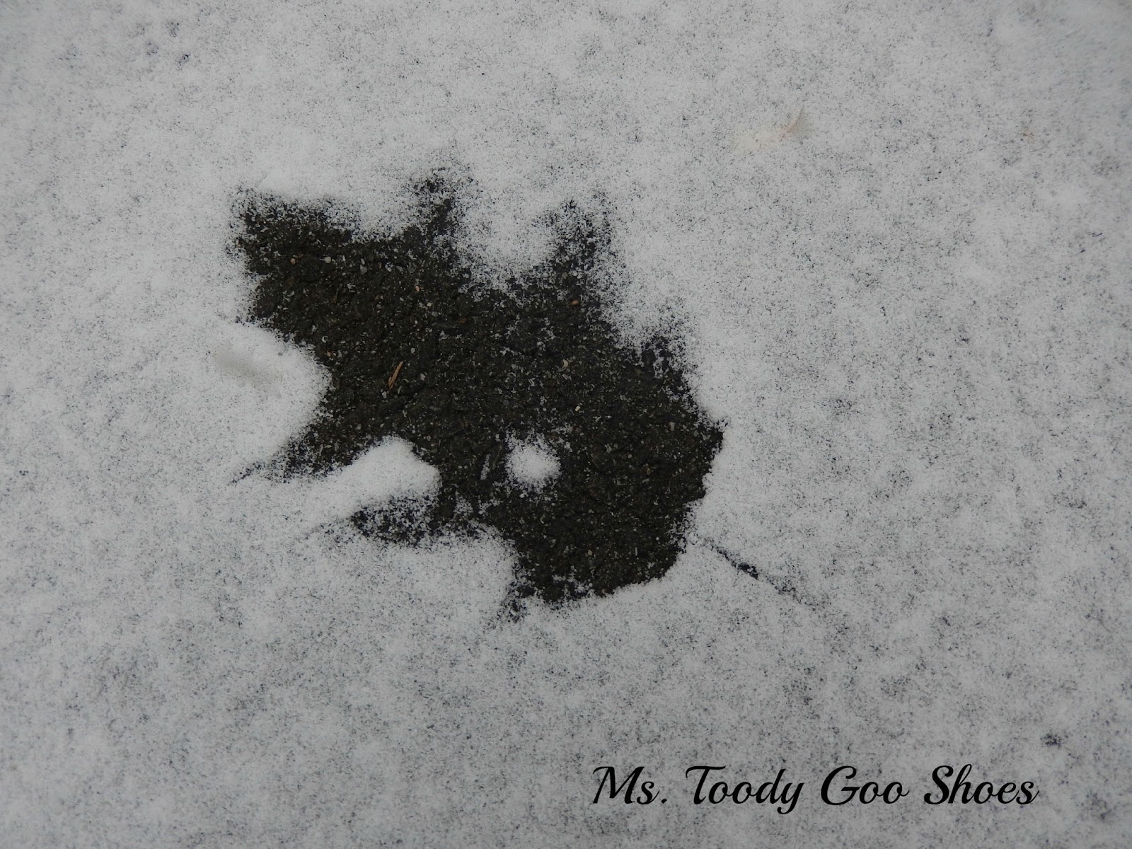 Snow Day --- by Ms. Toody Goo Shoes