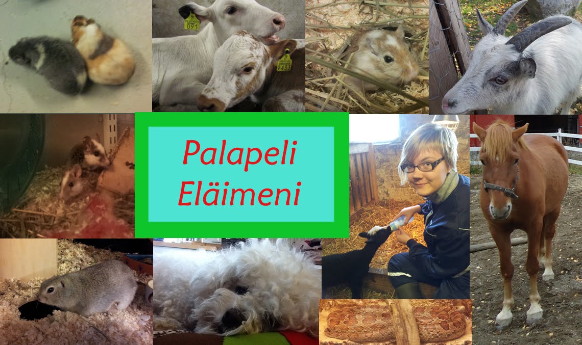 Palapeli eläimeni