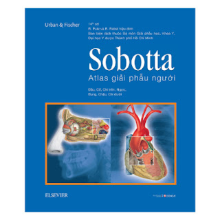 Sobotta Atlas Giải Phẫu Người ebook PDF EPUB AWZ3 PRC MOBI