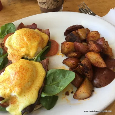 Applewood Bacon Benedict at Tomate Cafe in Berkeley, California