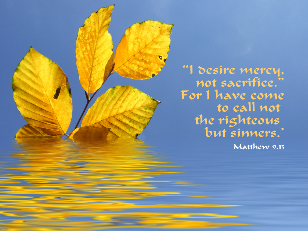 Foundations Of My Faith Jesus Calls Matthew foundations-of-my-faith-jesus-calls-matthew